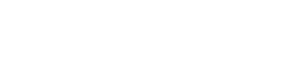 Capability Building